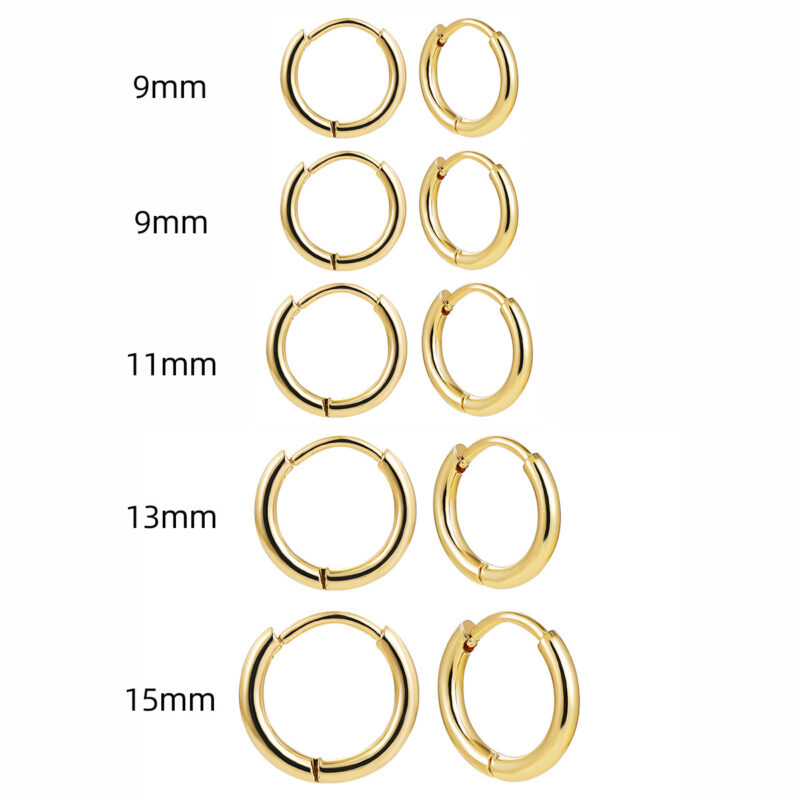 Stainless Steel 18K Gold PVD Plated lassic Hoops for Women Daily Earrings